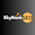 SEO BackLinks
