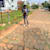 Ashok M