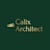 Calix S