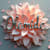 Olamide W