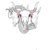 Iyhul
