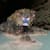 Ananta A