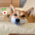 Maki
