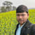 Shahidul