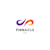 Pinnacle D