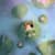 Nimo Crystals