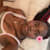 Adedoyin E
