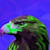 Liteeagle