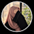 Aqsa