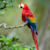 Ayat Noor