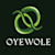 Oyewolearchi