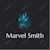Marvel S
