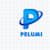 Pelumi Shop