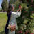Hadiqa Z