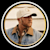 Cole Swindell