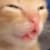 Junling G