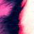 Wasim