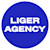 Liger Agency Ux