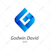 Godwin David