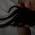 Attiya