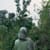 Hasana