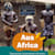 Joy Africa 