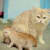 Hareem S