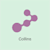 Collins G