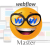Web Master