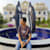 Md Sifat