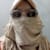 Abeehafatima