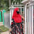 Afeef