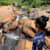 Nishanthi W