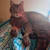 John B