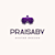 Praisaby