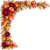 Hal