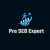 Seo Expart