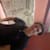 Mounir