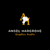Ansel H