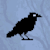 Corvus