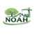 Noah
