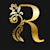 Ridwakson D