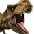 Rexy