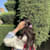 Anaya G