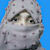 Bushra MS