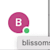 Bli S