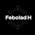 Febolad H