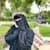 Eman Ahmed