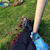 iann