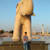 Rishav J